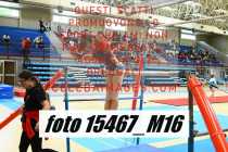 15467_M16-