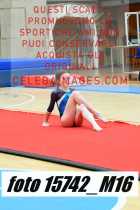15742_M16-