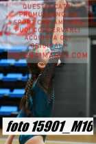 15901_M16-