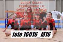 16016_M16-