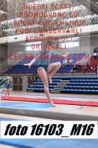 16103_M16-
