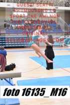 16135_M16-