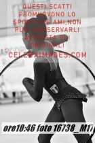 16738_M17-
