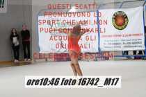 16742_M17-