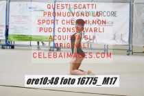 16775_M17-