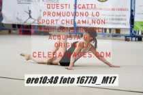 16779_M17-