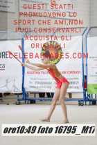 16795_M17-