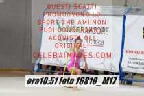 16810_M17-