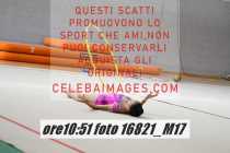 16821_M17-