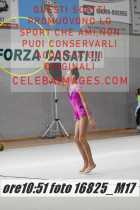 16825_M17-