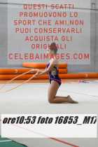 16853_M17-