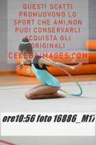 16886_M17-
