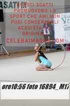 16894_M17-