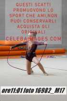 16982_M17-