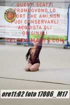 17006_M17-