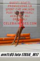 17056_M17-