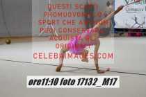 17132_M17-