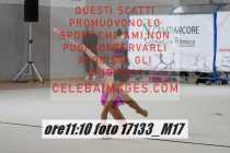 17133_M17-