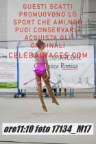 17134_M17-