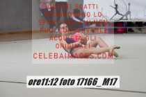 17166_M17-