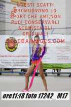 17242_M17-