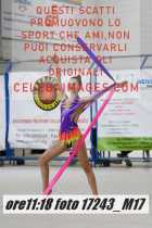 17243_M17-