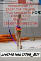 17256_M17-