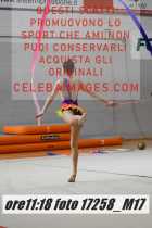 17258_M17-