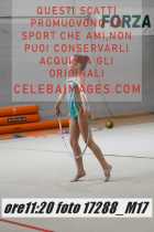 17288_M17-