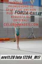 17294_M17-