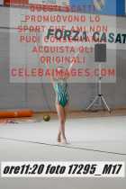 17295_M17-