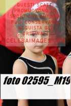02595_M19-