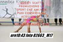02663_M17
