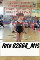 02664_M19-