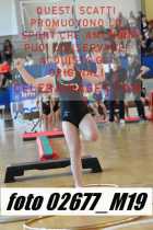 02677_M19-