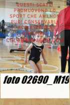 02690_M19-