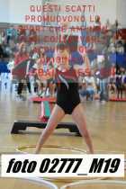 02777_M19-
