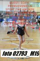 02793_M19-