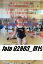 02803_M19-