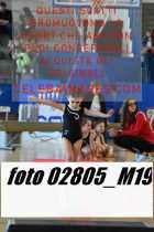 02805_M19-