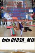 02830_M19-