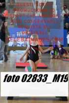 02833_M19-