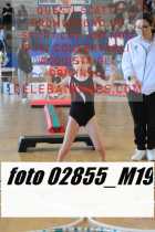 02855_M19-