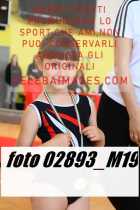02893_M19-