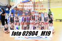 02904_M19-
