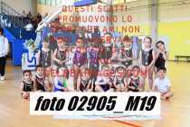 02905_M19-