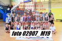 02907_M19-