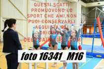 16341_M16-