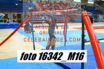 16342_M16-