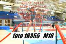 16355_M16-